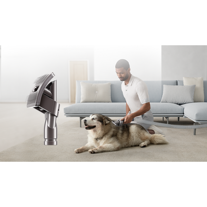 DYSON Lemmiklooma hoolduskomplekt, 972205-01