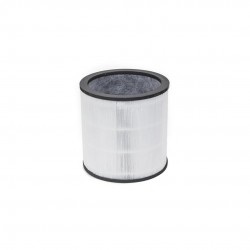 DYSON Evo Carbon Filter Retail 972426-01