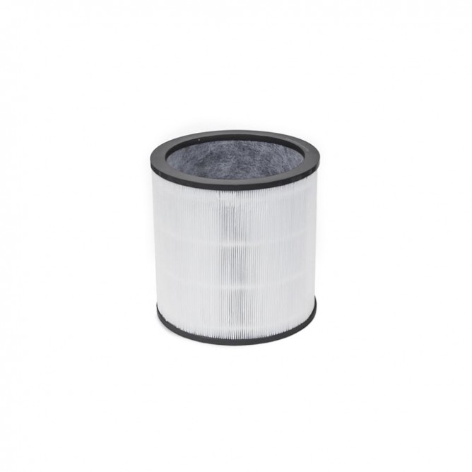 DYSON Evo Carbon Filter Retail 972426-01