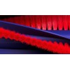 Dyson R1 Nurovi™ Dry Robottolmuimeja ilma pesufunktsioonita, Sv/VnBu