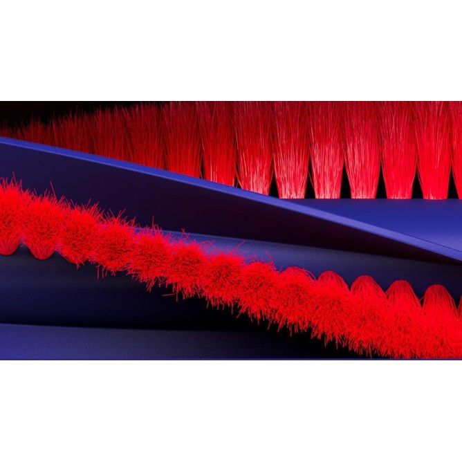 Dyson R1 Nurovi™ Dry Robottolmuimeja ilma pesufunktsioonita, Sv/VnBu