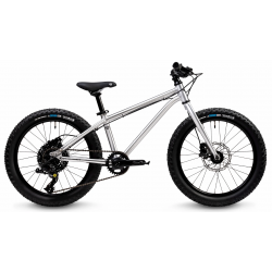 EARLY RIDER Seeker 20" laste jalgratas