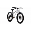 EARLY RIDER Seeker 20" laste jalgratas