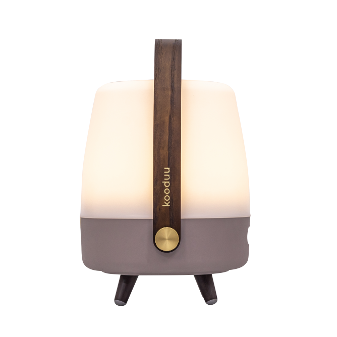 KOODUU SOUND BY JBL Lite-up Play Mini kõlar/lamp JBL helisüsteemiga, Earth