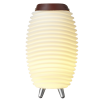 KOODUU Synergy 35 kõlar, LED lamp, veinijahuti