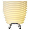 KOODUU Synergy 35 kõlar, LED lamp, veinijahuti