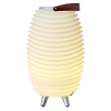 KOODUU Synergy 35 kõlar, LED lamp, veinijahuti
