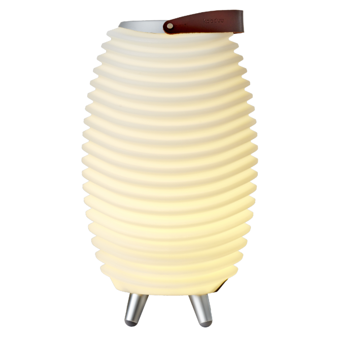 KOODUU Synergy 35 kõlar, LED lamp, veinijahuti