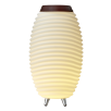 KOODUU Synergy 50 kõlar, LED lamp, veinijahuti