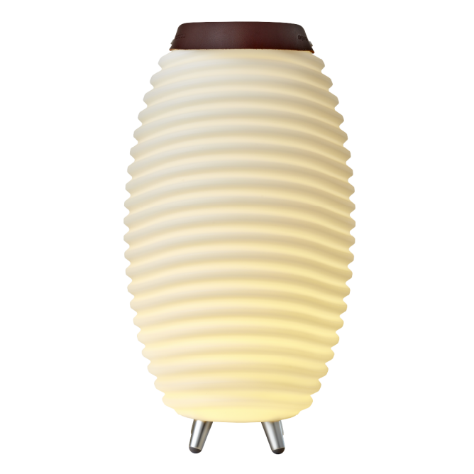 KOODUU Synergy 50 kõlar, LED lamp, veinijahuti