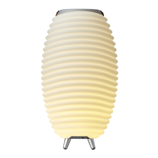 KOODUU Synergy 50 kõlar, LED lamp, veinijahuti