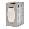 KOODUU Synergy 50 kõlar, LED lamp, veinijahuti