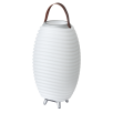 KOODUU Synergy 50 kõlar, LED lamp, veinijahuti