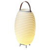 KOODUU Synergy 50 kõlar, LED lamp, veinijahuti