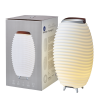 KOODUU Synergy 65 kõlar, LED lamp, veinijahuti