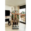 SPEEDIANCE Gym Monster 2 Family PLUS treeningseade koos tarvikutega